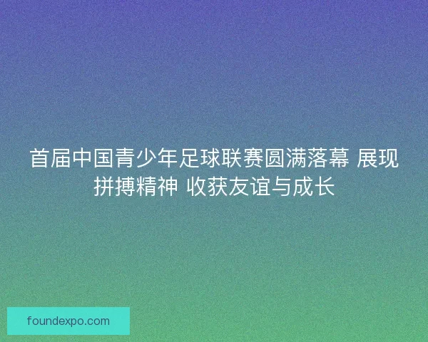 首届中国青少年足球联赛圆满落幕 展现拼搏精神 收获友谊与成长 首届中国青少年足球联赛圆满落幕 展现拼搏精神 收获友谊与成长