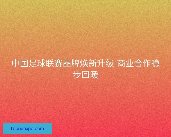 中国足球联赛品牌焕新升级 商业合作稳步回暖 中国足球联赛品牌焕新升级 商业合作稳步回暖
