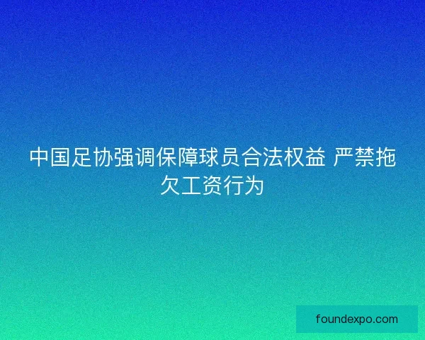 中国足协强调保障球员合法权益 严禁拖欠工资行为